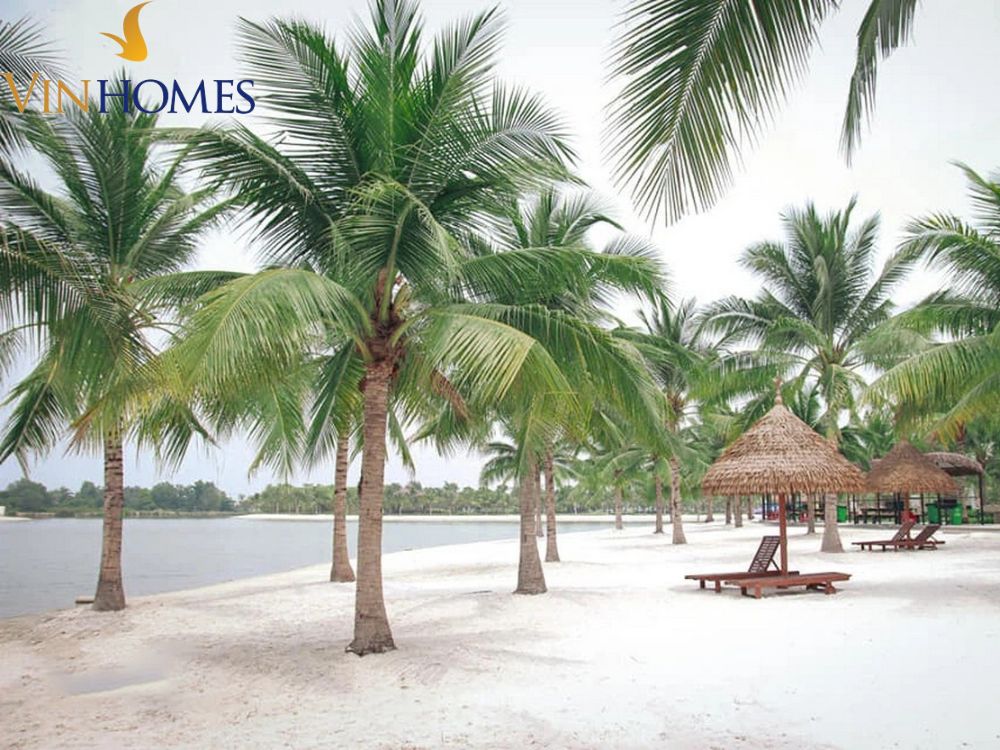 Biển nhân tạo Vinhome Grand Park Hướng dẫn di chuyển tới biển nhân tạo Vinhome grand park.