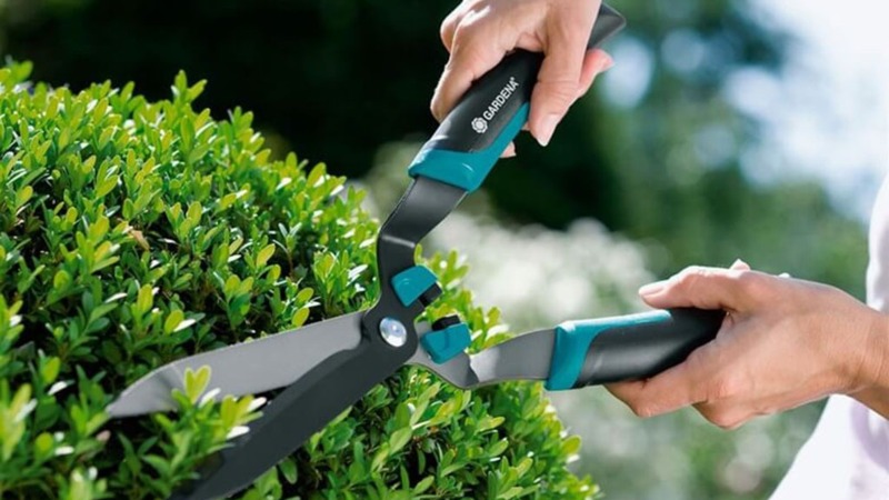 phí quản lý chung cư